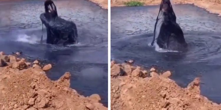 Yandaş medyanın ‘Gabar’da petrol fışkırıyor’ dediği görüntüler Venezuela’da çekilmiş