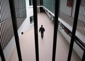 Yeşil Sol Parti, Iğdır S Tipi’ndeki ihlalleri sordu