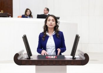 Yeşil Sol Parti'nin Meclis Başkan adayı Hatimoğulları oldu