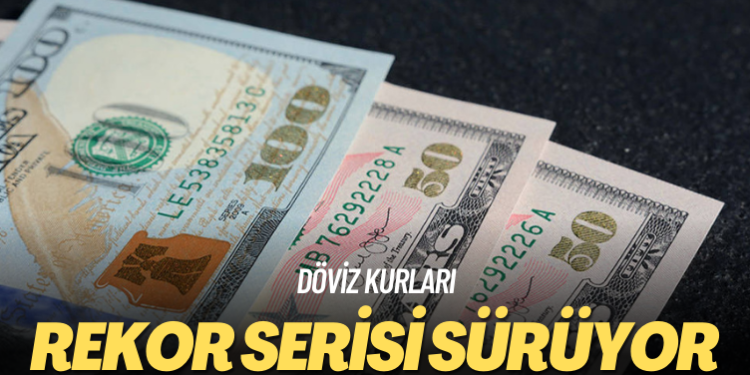 Döviz kurları: Rekor serisi sürüyor