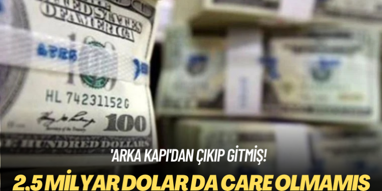 ‘Arka kapı’dan çıkıp gitmiş! 2,5 milyar dolar da TL’ye çare olmamış