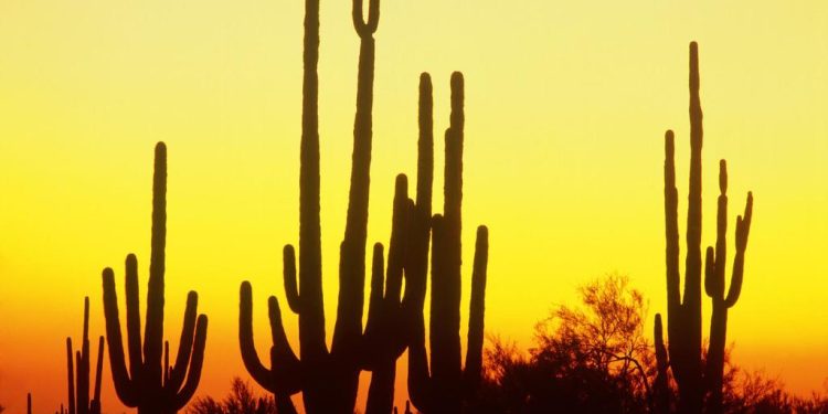 ‘Süper emici’ malzeme üretildi: Çöl havasından rekor düzeyde su toplayabiliyor