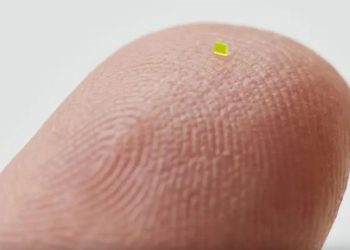 ‘Tuz tanesinden küçük’ çanta 64 bin dolara satıldı