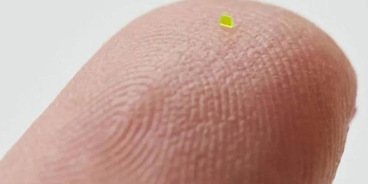 ‘Tuz tanesinden küçük’ çanta 64 bin dolara satıldı