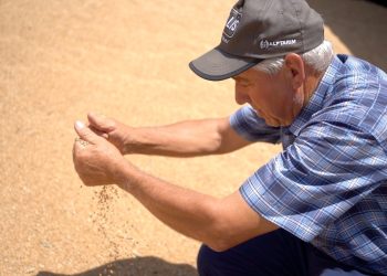 “Bize değil Ukraynalı çiftçiye sahip çıkıldı”