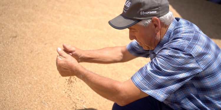 “Bize değil Ukraynalı çiftçiye sahip çıkıldı”