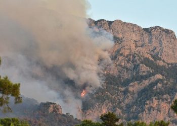 Antalya’nın 3 ilçesinde yangın