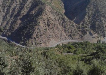 Bedlîs’te sokağa çıkma yasağı sonrası operasyon