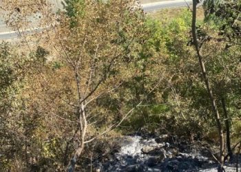 Xîzan’da ormanlık alanlar bombalanarak tahrip ediliyor