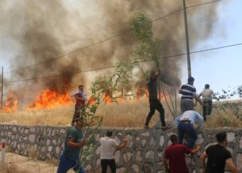 Zîlan köyünde 100 dönüm buğday ekili alan yandı