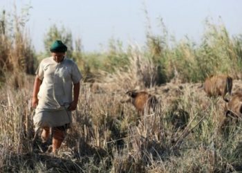 Irak’ta kuraklık tehlikesi