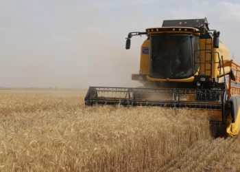 TMO ihtiyacı kadar alıyor, çiftçi zararda