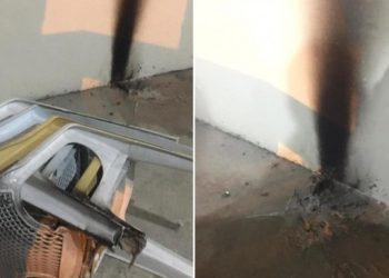 HDP binasına saldıran 3 kişiye ödül gibi ceza