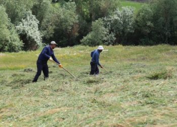 Wan’da palelerin zorlu mesaisi başladı