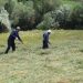 Wan’da palelerin zorlu mesaisi başladı