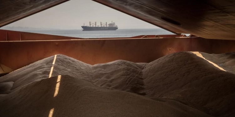 AB: Rusya büyük bir gıda krizinden sorumlu