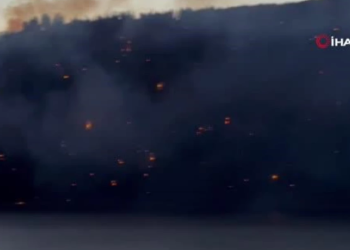 ABD’de 10 ev yandı, 540 dönüm kül oldu