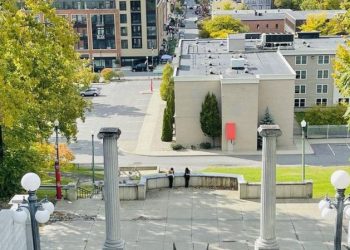 ABD'de 20 yıldır süren bir bilimsel araştırma, temizlikçinin buzdolabı fişini çekmesiyle yok oldu