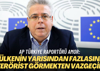 AP Türkiye Raportörü Amor: Ülkenin yarısından fazlasını terörist görmekten vazgeçin