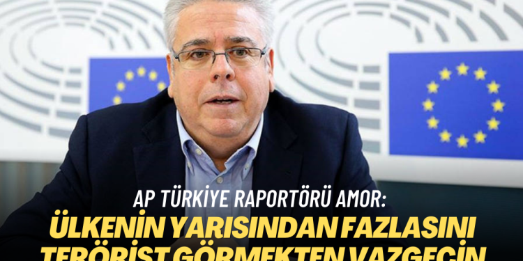 AP Türkiye Raportörü Amor: Ülkenin yarısından fazlasını terörist görmekten vazgeçin