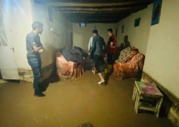 Ağrı'daki sağanak yağışta altı evi su bastı