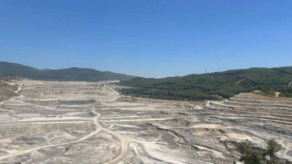 Akbelen Ormanı'nı talan eden YK Enerji'den iktidar medyasına ilan