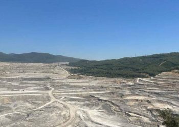 Akbelen Ormanı'nı talan eden YK Enerji'den iktidar medyasına ilan