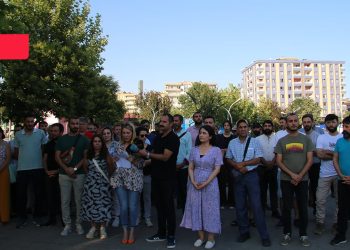 Amed Emek ve Demokrasi Platformu: İnsanlığın gemisi Cudi'de yanıyor