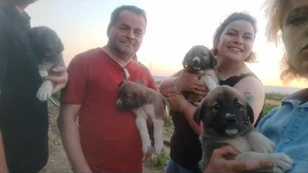 Av tüfeğiyle öldürülen köpeğin dört yavrusu bulundu