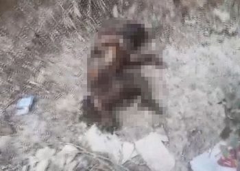 Ayaklarını kestikleri yavru köpeği yakıp, yol kenarına attılar