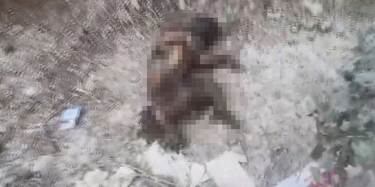 Ayaklarını kestikleri yavru köpeği yakıp, yol kenarına attılar