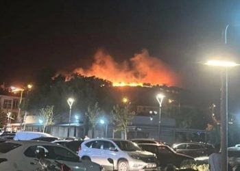 Ayvalık'taki yangında 6 hektar zarar gördü