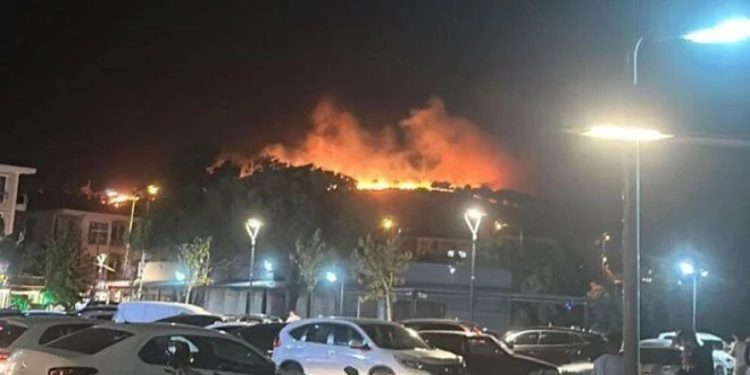 Ayvalık'taki yangında 6 hektar zarar gördü