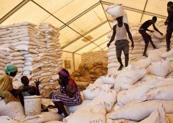 BM finansman krizi nedeniyle yardımların büyük kısmını kesti: Milyonlarca insan risk altında