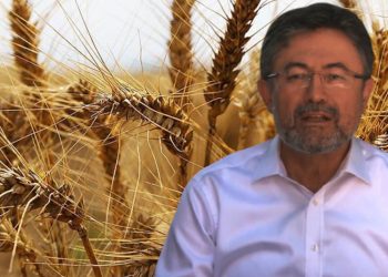 Bakan Yumaklı'dan TMO'nun buğday almadığı iddialarına ilişkin açıklama