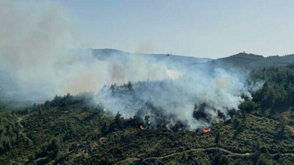 Balıkesir'de çıkan orman yangını kontrol altına alındı