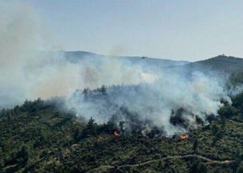 Balıkesir'de çıkan orman yangını kontrol altına alındı