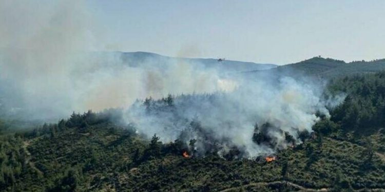 Balıkesir'de çıkan orman yangını kontrol altına alındı