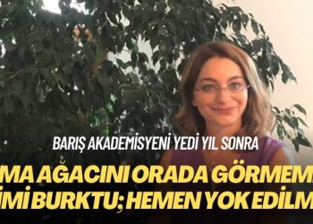 Barış akademisyeni yedi yıl sonra: Elma ağacını orada görmemek içimi burktu; hemen yok edilmiş