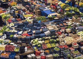 Bedava ürünün kilosunun Antalya'dan İstanbul'a gelmesi 2.90 lira