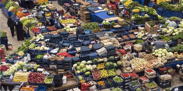 Bedava ürünün kilosunun Antalya'dan İstanbul'a gelmesi 2.90 lira