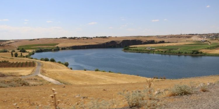 Belediyelerden sonra DSİ'de de kayyım etkisi: Çiftçiler su maliyeti altında ezildi