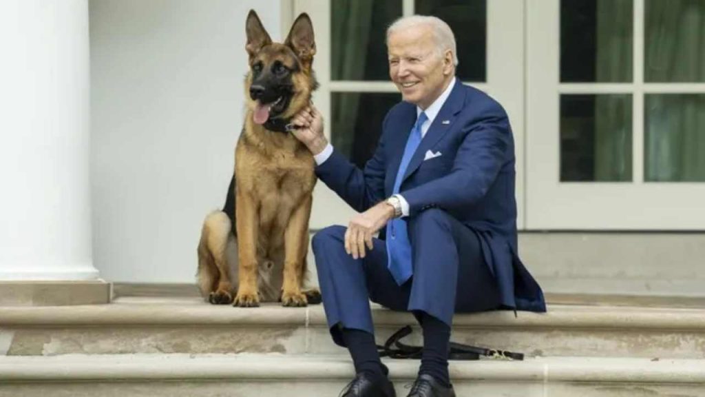 Biden'ın köpeği Beyaz Saray'da en az 10 ajanı ısırdı