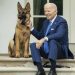 Biden'ın köpeği Beyaz Saray'da en az 10 ajanı ısırdı