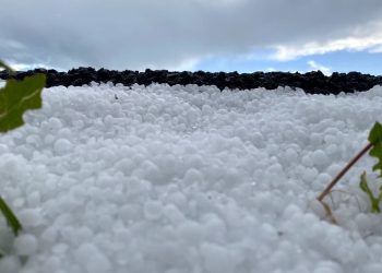 Birçok il sıcaktan kavrulurken Ardahan beyaza büründü