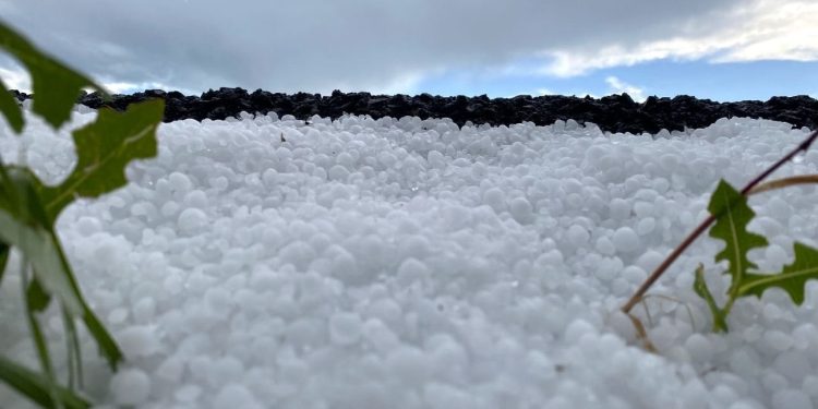 Birçok il sıcaktan kavrulurken Ardahan beyaza büründü