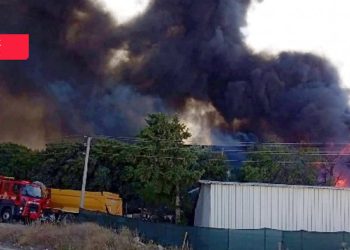 Bodrum'daki yangının görüntülerini çeken gazetecilere silahlı tehdit