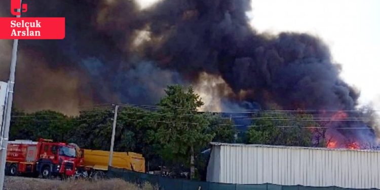 Bodrum'daki yangının görüntülerini çeken gazetecilere silahlı tehdit