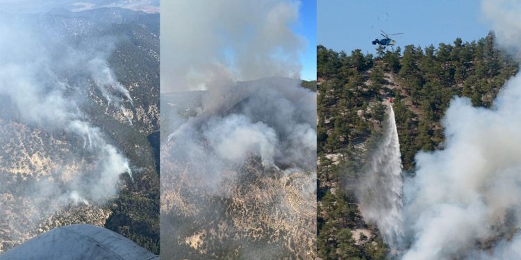 Bolu'daki orman yangınına müdahale sürüyor