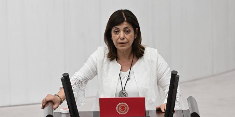 Brezilya’dan Türkiye’ye getirilen çocuklar Meclis gündeminde: Meral Danış Beştaş, yasal dayanağını sordu